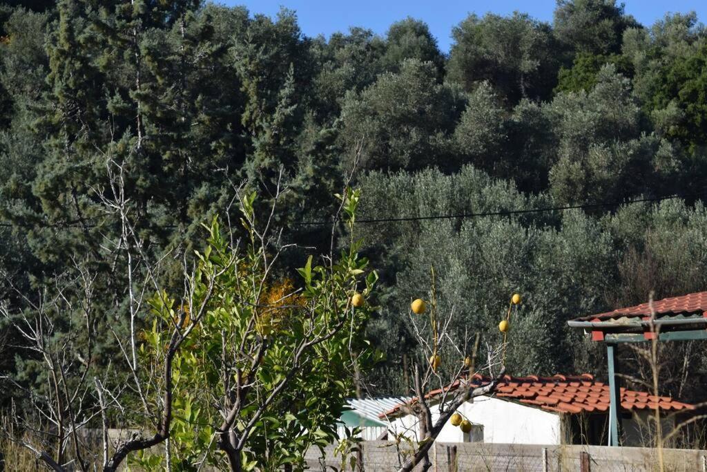 Апартаменты Ολόκληρος Όροφος Αγροτική Οικία Неос-Пиргос Экстерьер фото